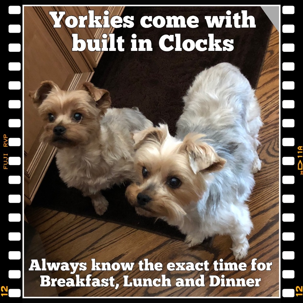 Meet your Posher, D.m.